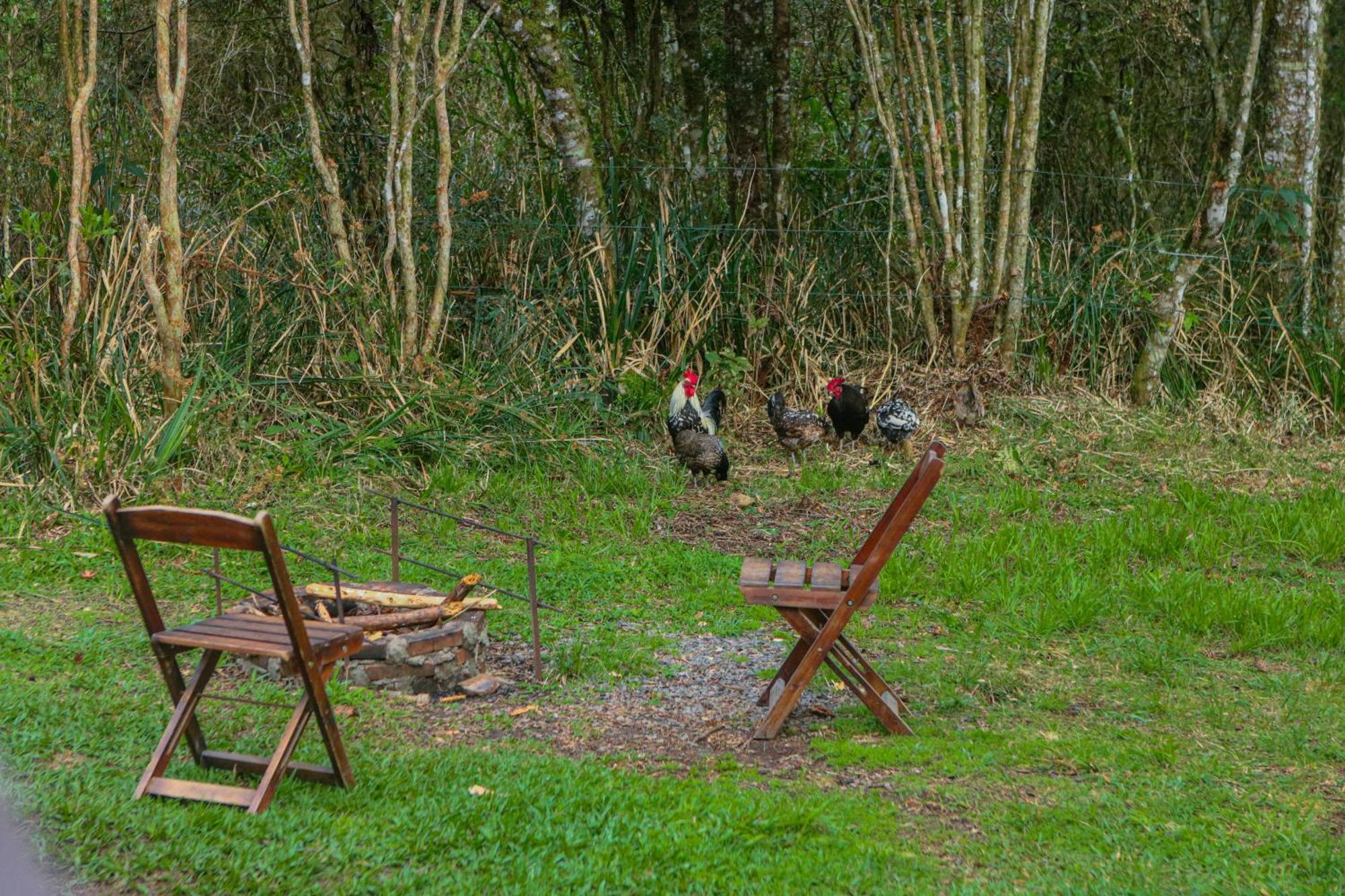 Cabana Na Floresta Rincao Do Fortaleza Cambara do Sul Exterior photo
